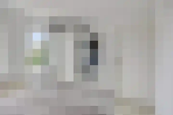 Ganzetongstraat 20 Valkenswaard thumbnail 23