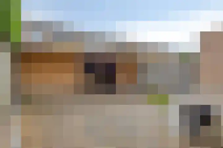 Ganzetongstraat 20 Valkenswaard thumbnail 28