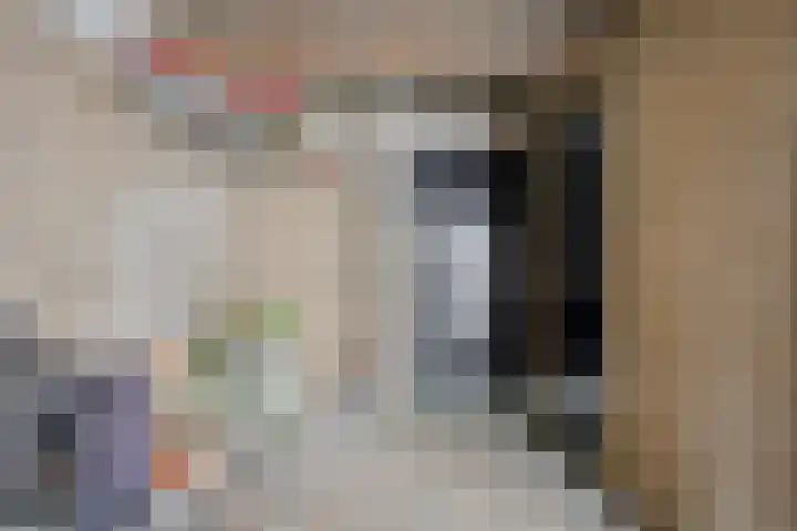 Ganzetongstraat 20 Valkenswaard thumbnail 30