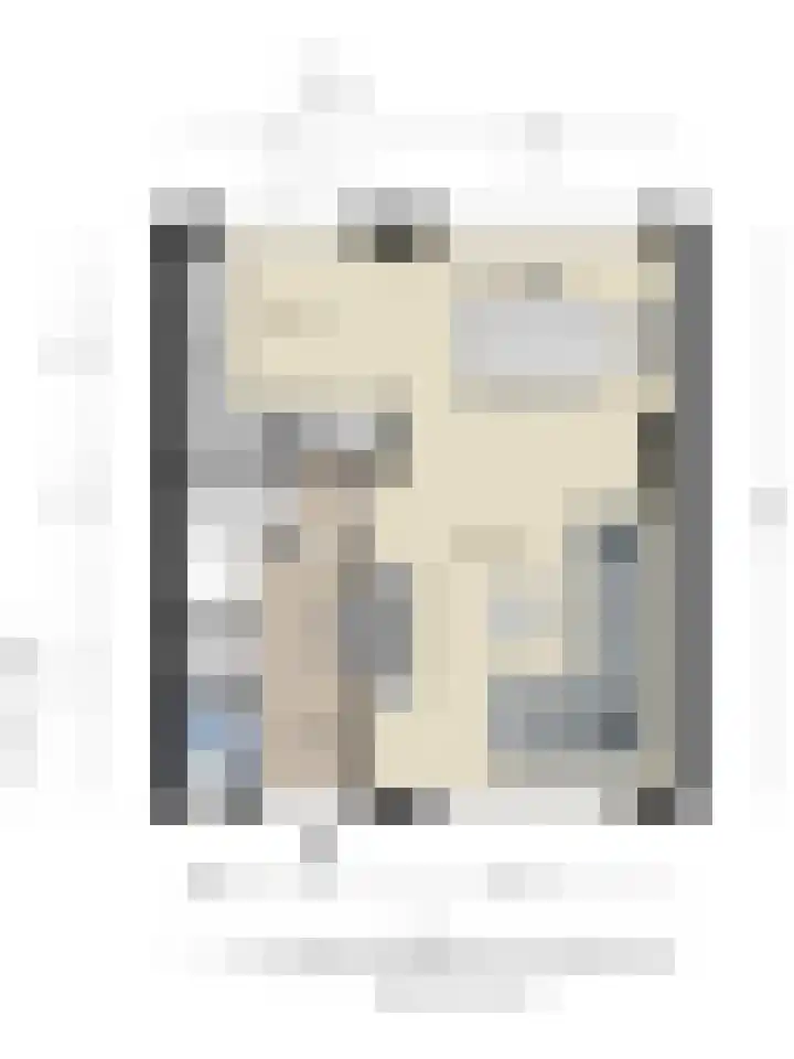 Ganzetongstraat 20 Valkenswaard thumbnail 35