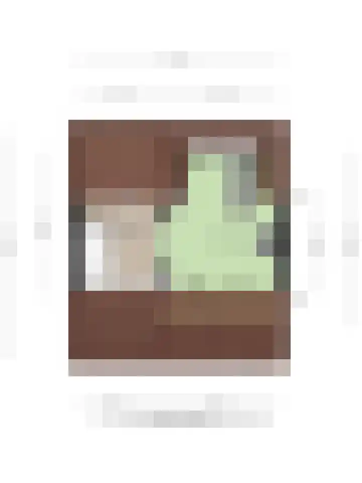 Ganzetongstraat 20 Valkenswaard thumbnail 37
