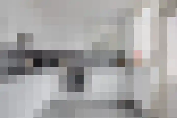 Ganzetongstraat 20 Valkenswaard thumbnail 4