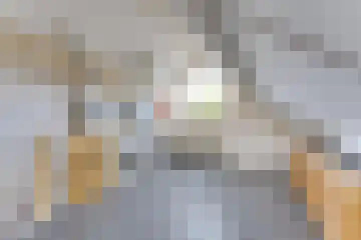 Ganzetrek 13 Soest thumbnail 27