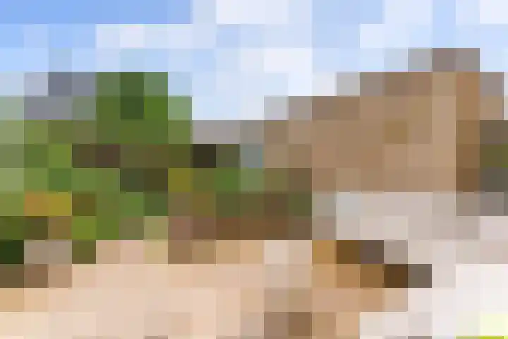 Ganzetrek 13 Soest thumbnail 34