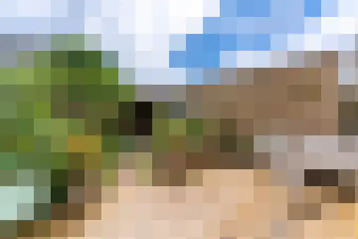 Ganzetrek 13 Soest thumbnail 35