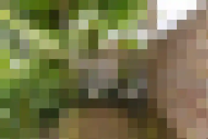 Ganzetrek 13 Soest thumbnail 39