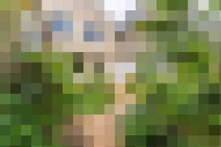 Ganzetrek 13 Soest thumbnail 41
