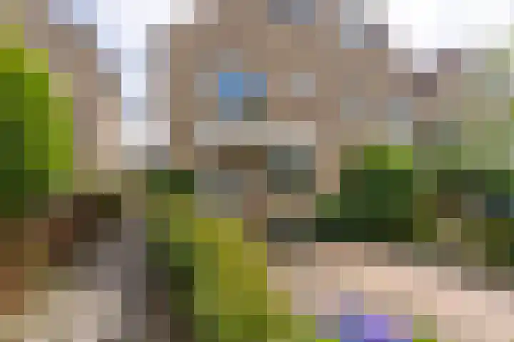 Ganzetrek 13 Soest thumbnail 42