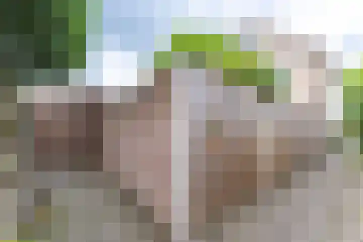 Ganzetrek 13 Soest thumbnail 44