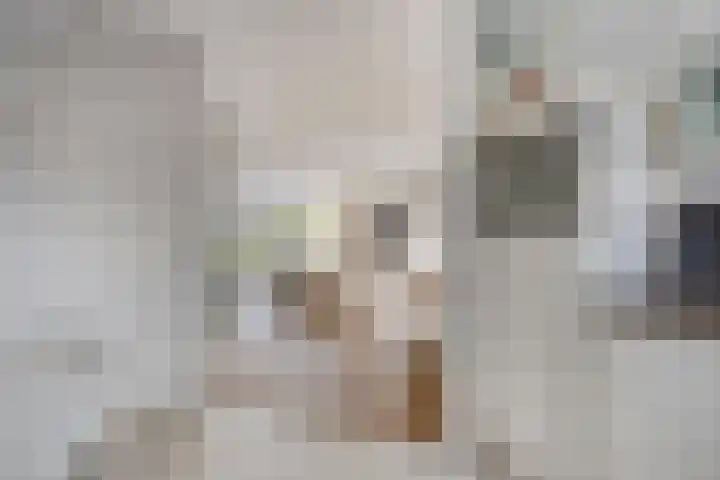 Ganzetrek 15 Soest thumbnail 10