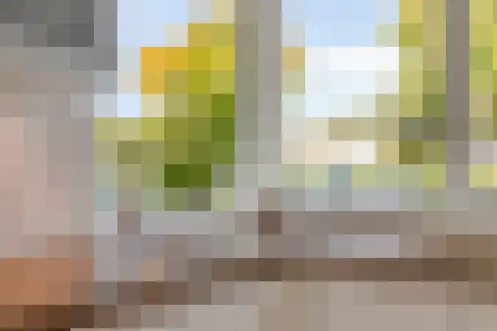Ganzetrek 15 Soest thumbnail 11