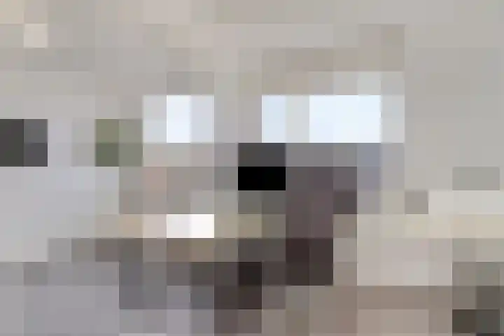 Ganzetrek 15 Soest thumbnail 16