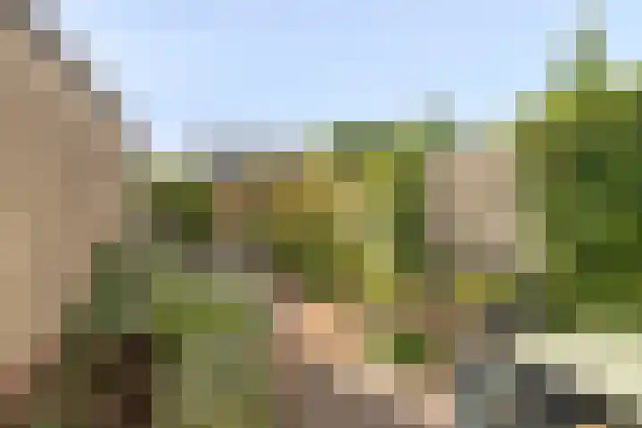 Ganzetrek 15 Soest thumbnail 26