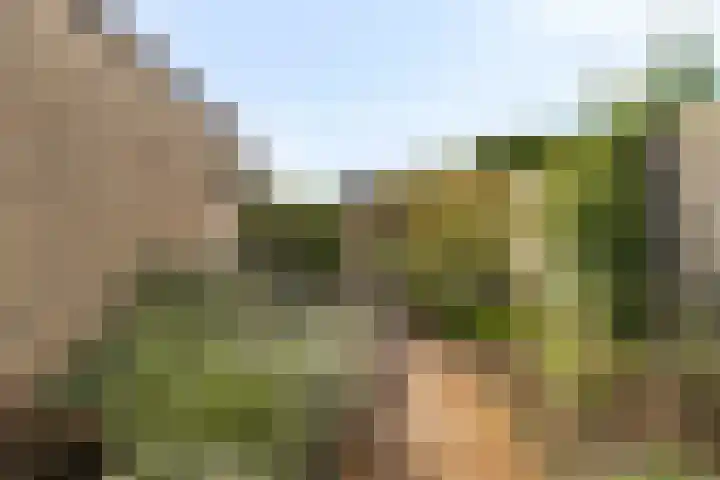 Ganzetrek 15 Soest thumbnail 27