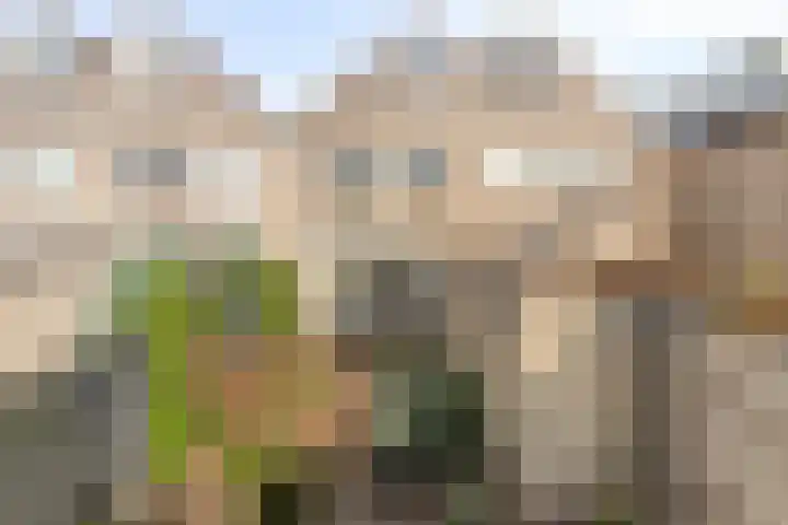 Ganzetrek 15 Soest thumbnail 29
