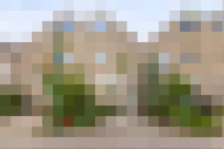 Ganzetrek 15 Soest thumbnail 31