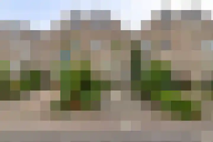 Ganzetrek 15 Soest thumbnail 33