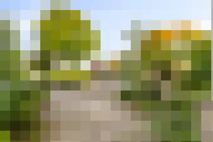 Ganzetrek 15 Soest thumbnail 34