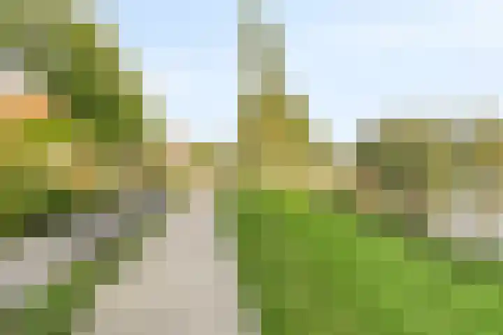 Ganzetrek 15 Soest thumbnail 35