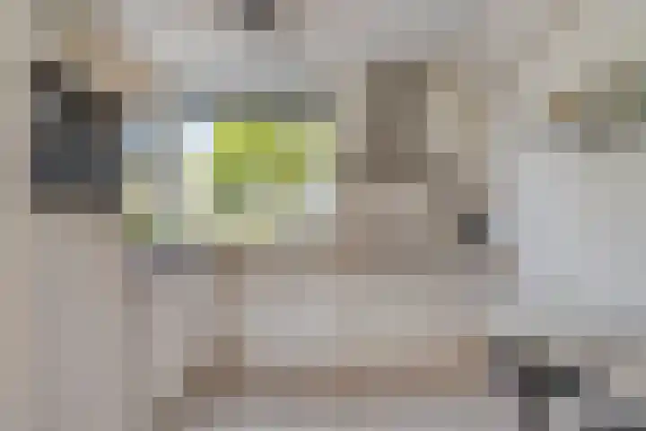 Ganzetrek 15 Soest thumbnail 9