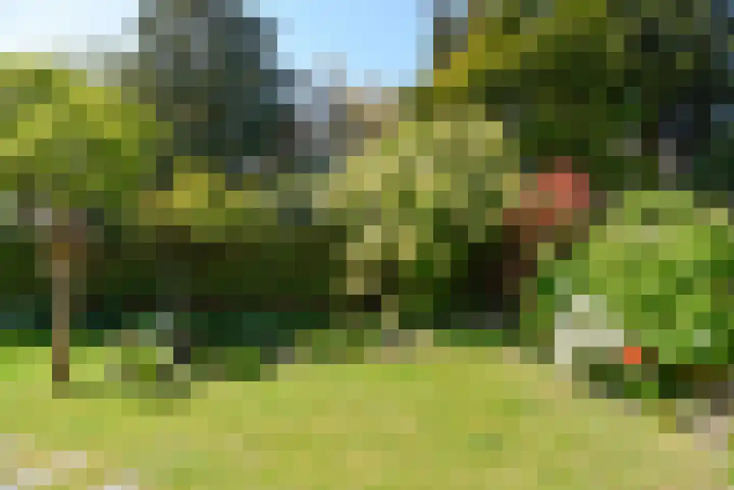 Ganzetrek 37 Soest thumbnail 23