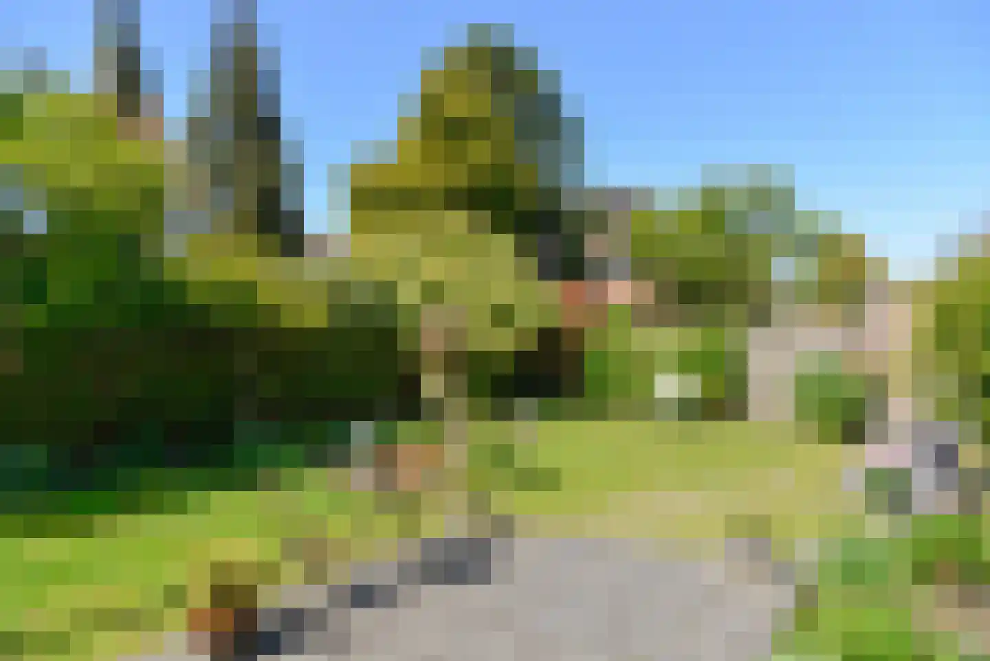 Ganzetrek 37 Soest thumbnail 24