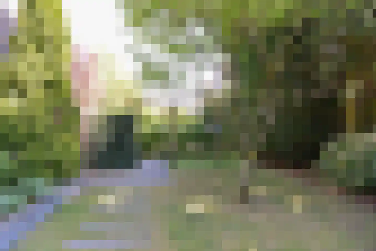 Ganzetrek 37 Soest thumbnail 25