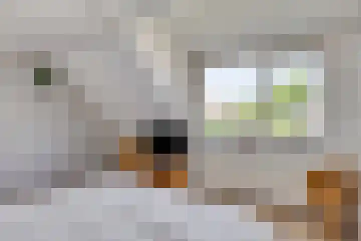 Ganzetrek 47 Soest thumbnail 15