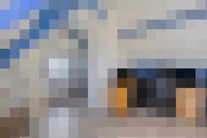 Ganzetrek 47 Soest thumbnail 24