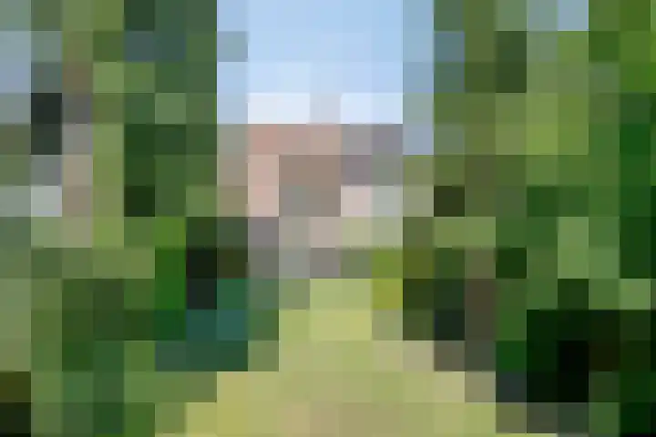 Ganzetrek 47 Soest thumbnail 27