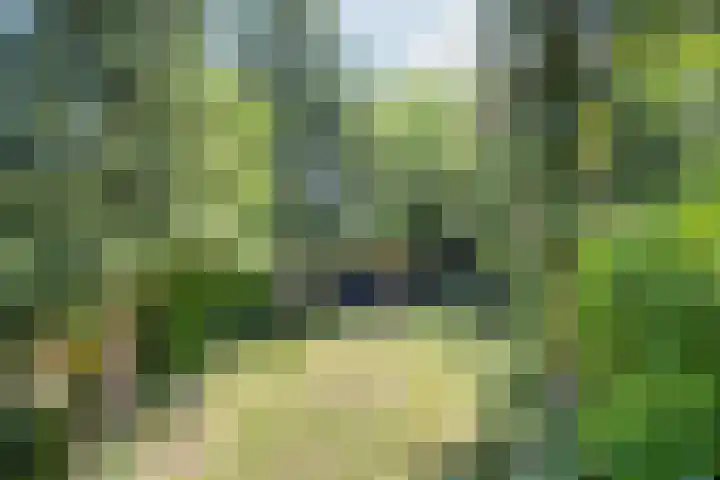 Ganzetrek 47 Soest thumbnail 28
