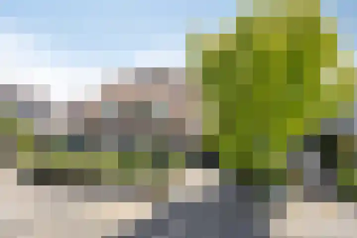 Ganzetrek 47 Soest thumbnail 35
