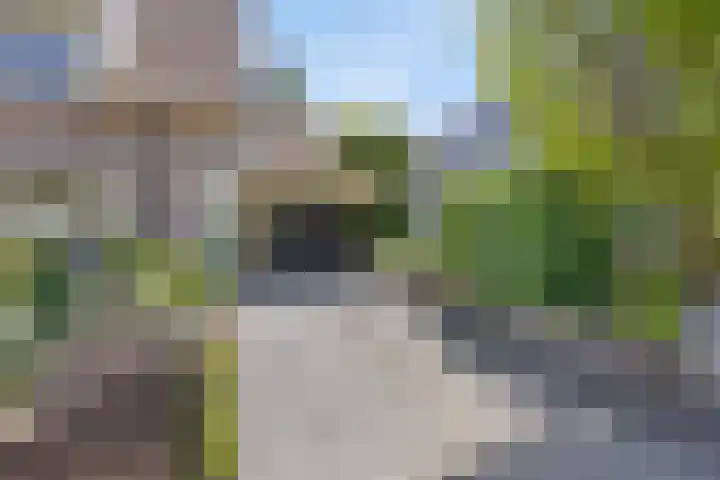 Ganzetrek 47 Soest thumbnail 37