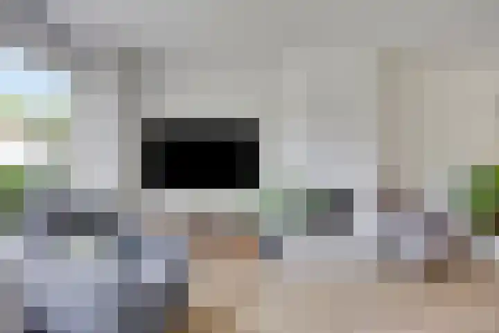 Ganzetrek 47 Soest thumbnail 4