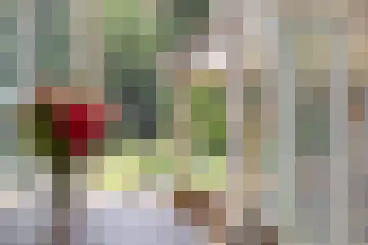 Ganzetrek 47 Soest thumbnail 7