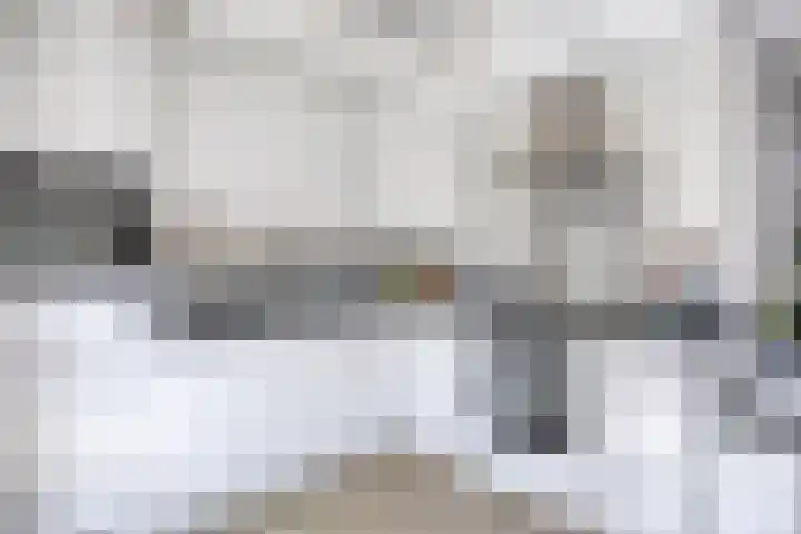 Ganzetrek 47 Soest thumbnail 8