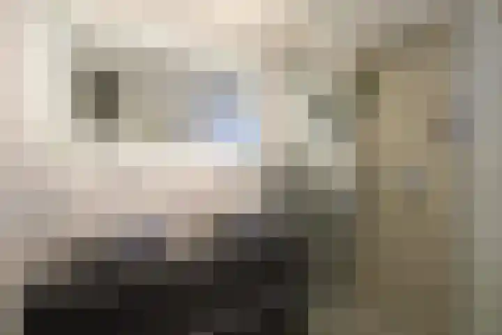 Ganzevoet 14 Almelo thumbnail 22