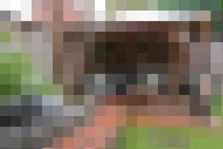 Ganzevoet 14 Almelo thumbnail 36