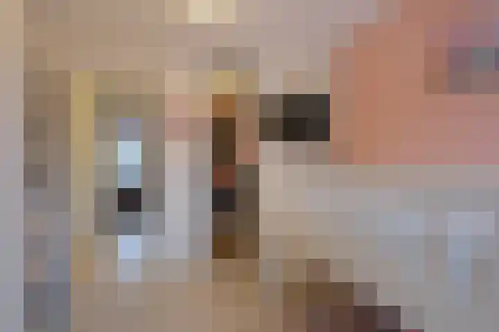 Ganzevoet 14 Almelo thumbnail 56
