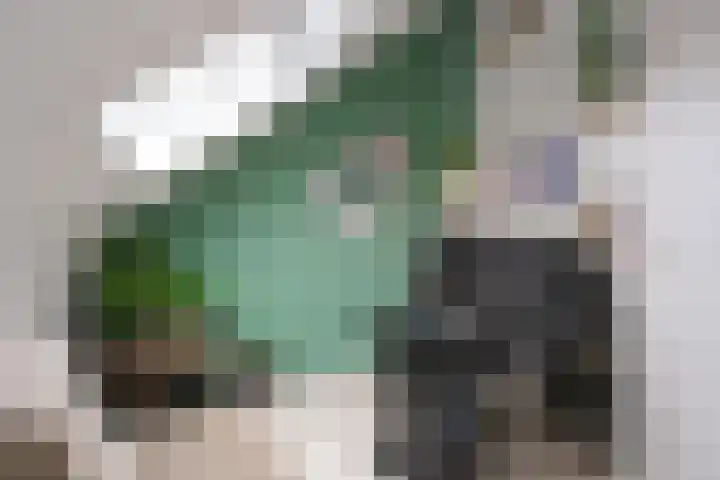 Ganzevoet 14 Almelo thumbnail 62