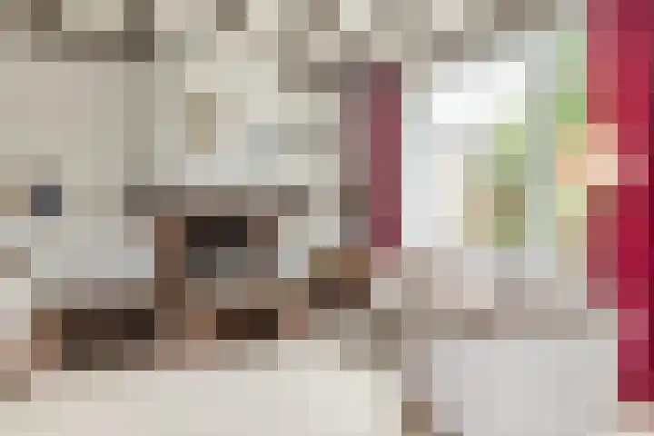 Ganzevoet 2 Brunssum thumbnail 10