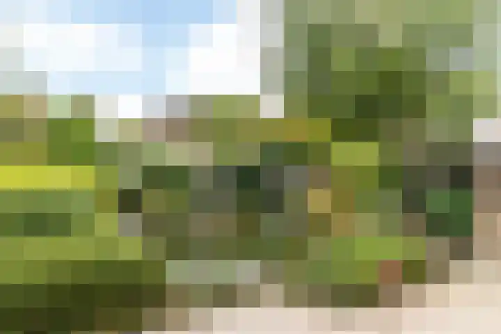 Ganzevoet 2 Brunssum thumbnail 33