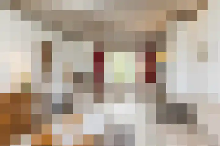 Ganzevoet 2 Brunssum thumbnail 7