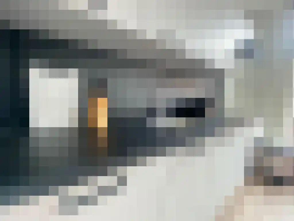 Ganzevoortsingel 18 Groningen thumbnail 4