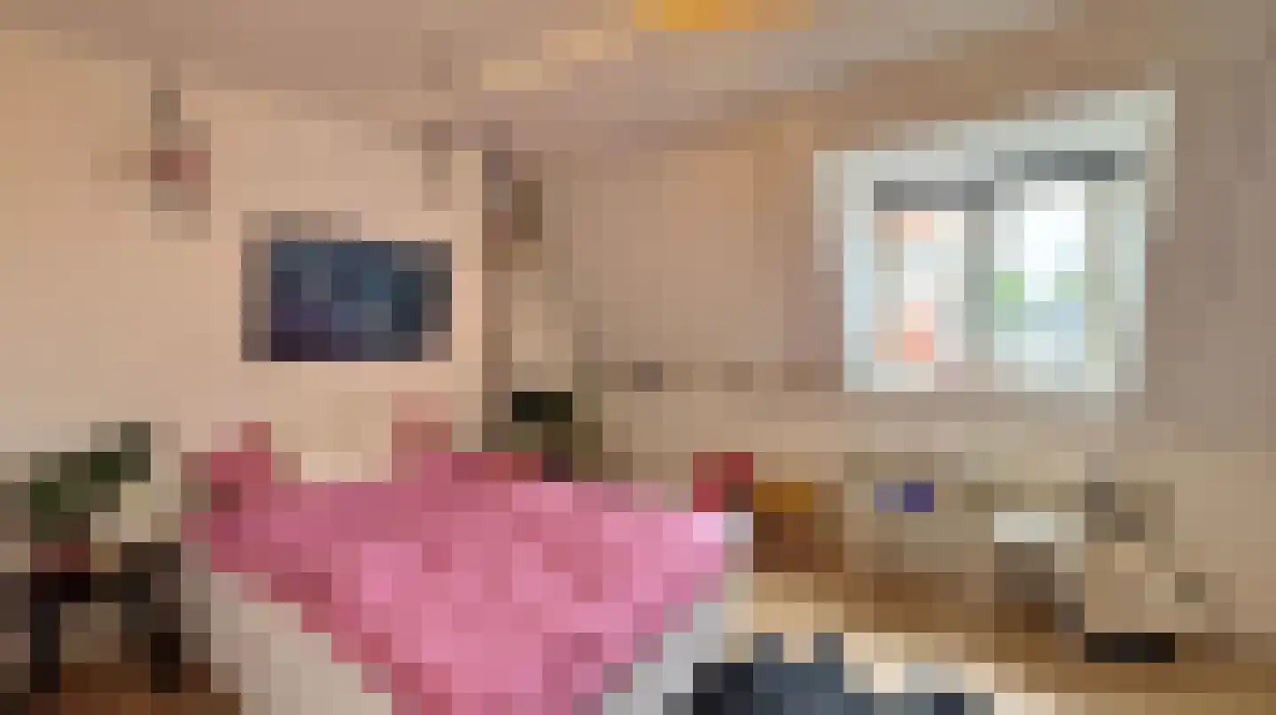 Ganzevoortsingel 20 Groningen thumbnail 34