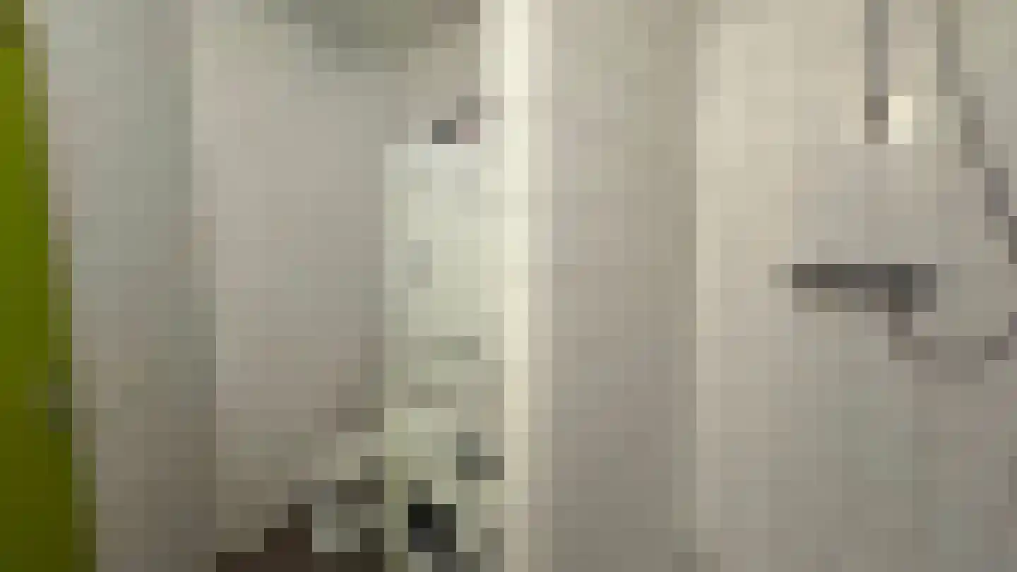 Ganzevoortsingel 20 Groningen thumbnail 8