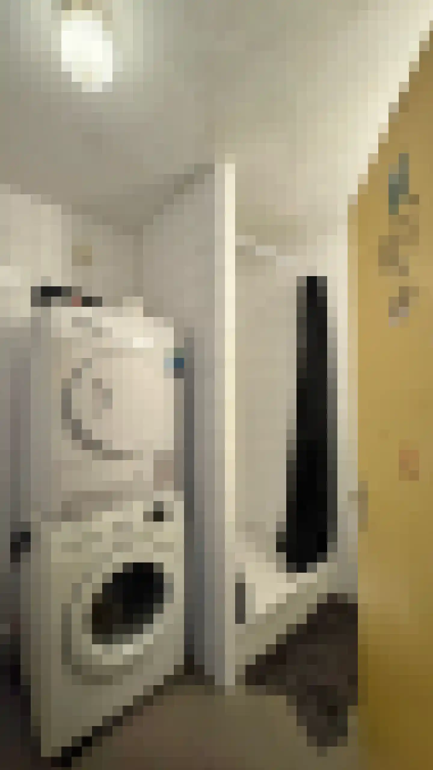 Ganzevoortsingel 20 Groningen thumbnail 9