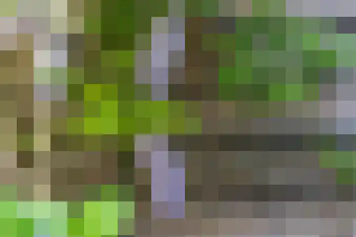 Ganzevoortsingel 38 Groningen thumbnail 33