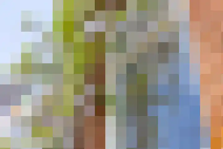 Ganzevoortsingel 38 Groningen thumbnail 34