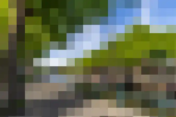 Ganzevoortsingel 38 Groningen thumbnail 42